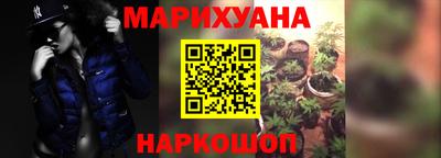 сатива Камышлов