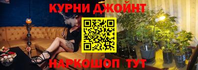 сатива Камышлов